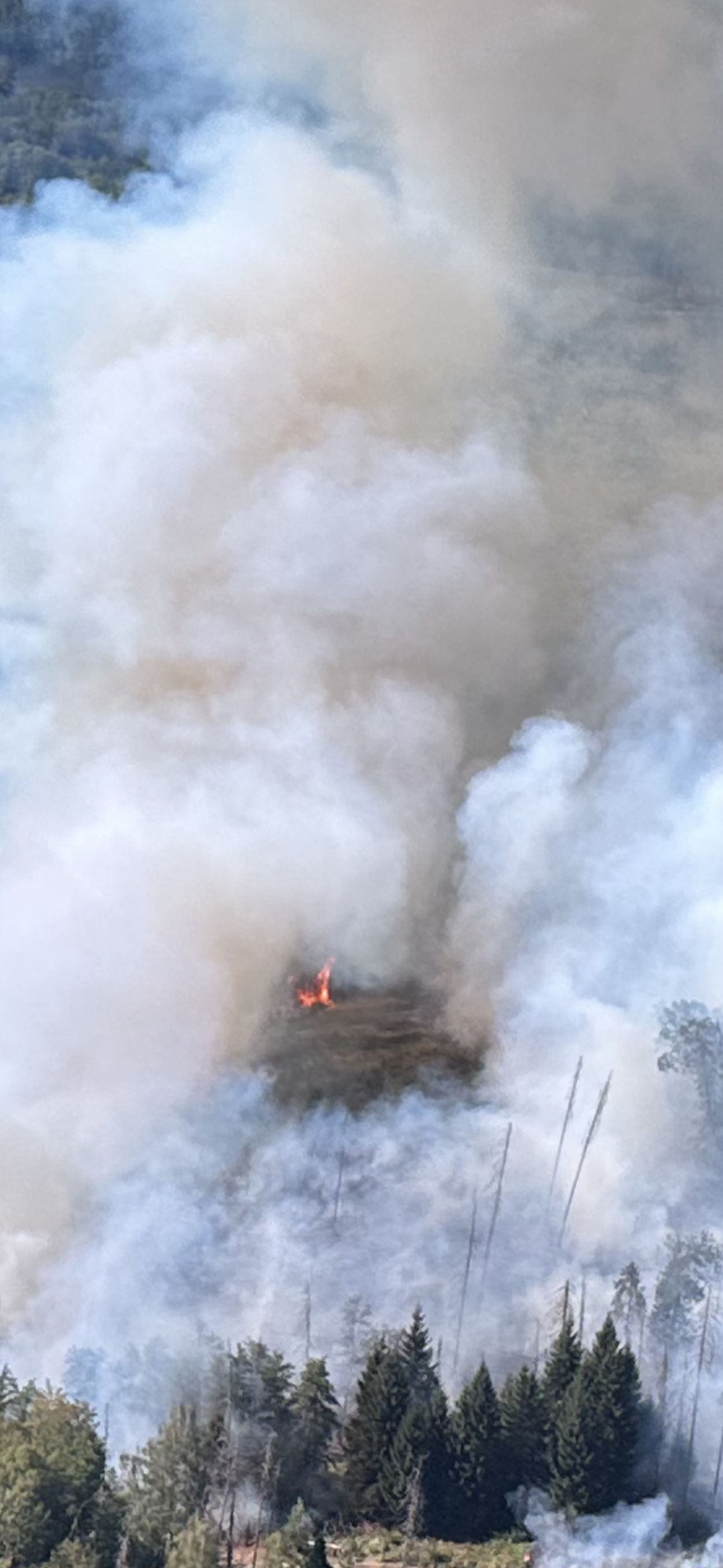 Waldbrand